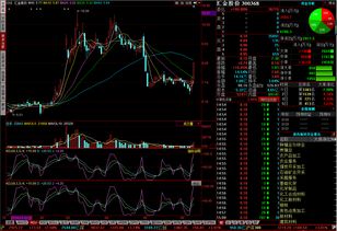 今日最強匯金股份 物聯(lián)網(wǎng)技術(shù)研發(fā)驅(qū)動未來增長