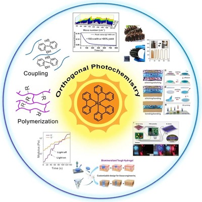 喜報！我院于游教授榮獲陜西省杰出青年科學基金項目資助