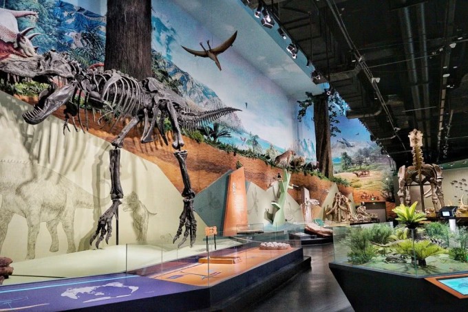 探秘地球心臟 柳州洞穴博物館，親子研學與自然科學的完美交融